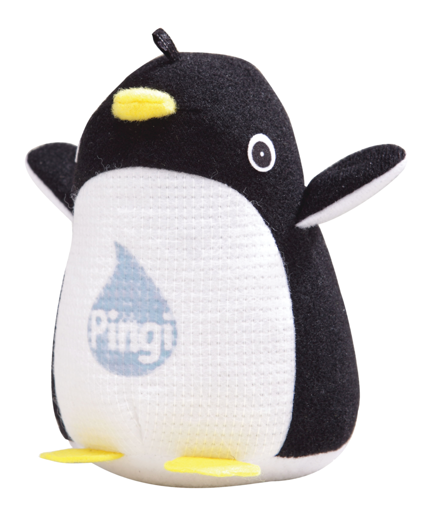 Pingi Us Photo 12 11131127