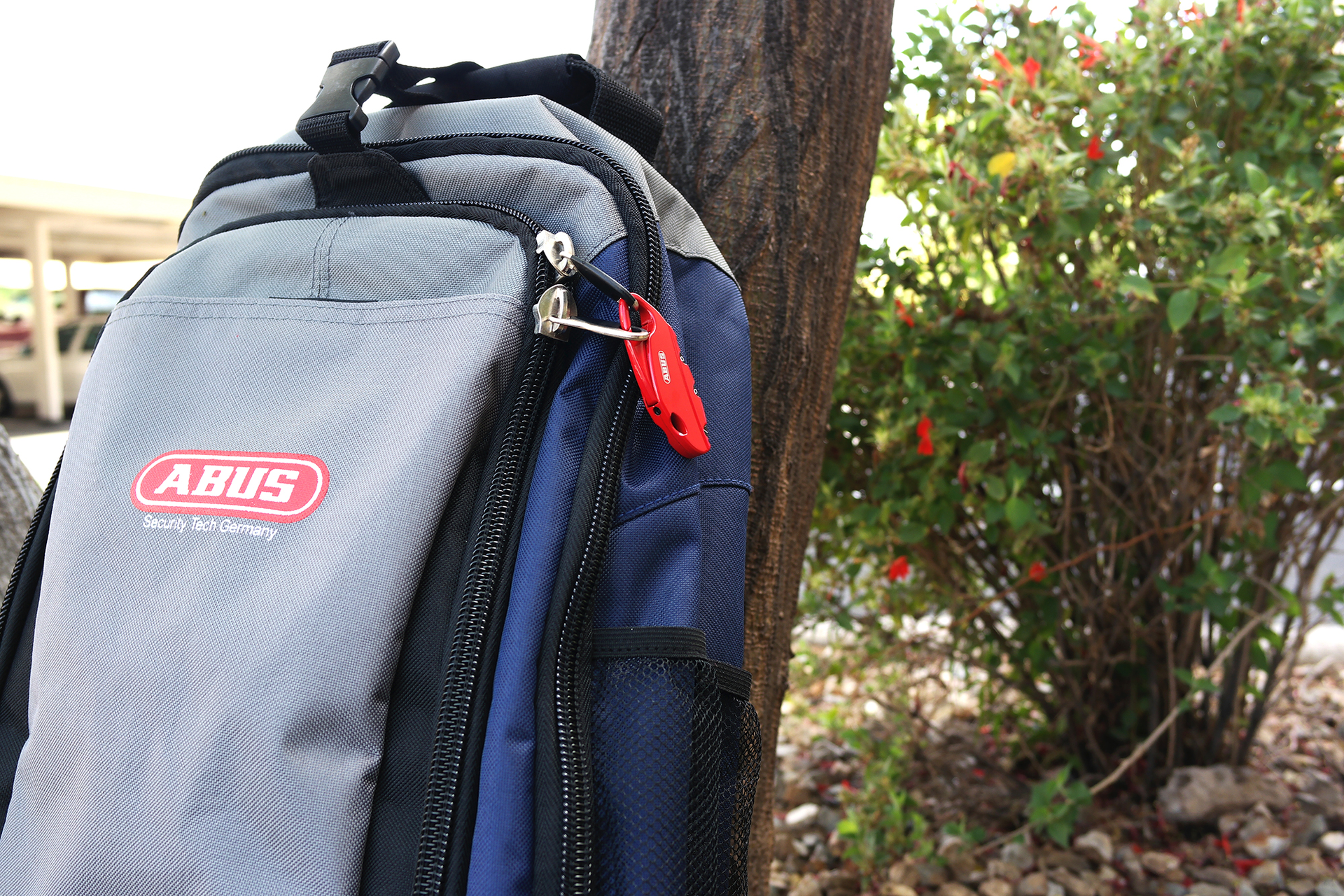 151 20 Bakpac 7 2 5579d6f1ae487