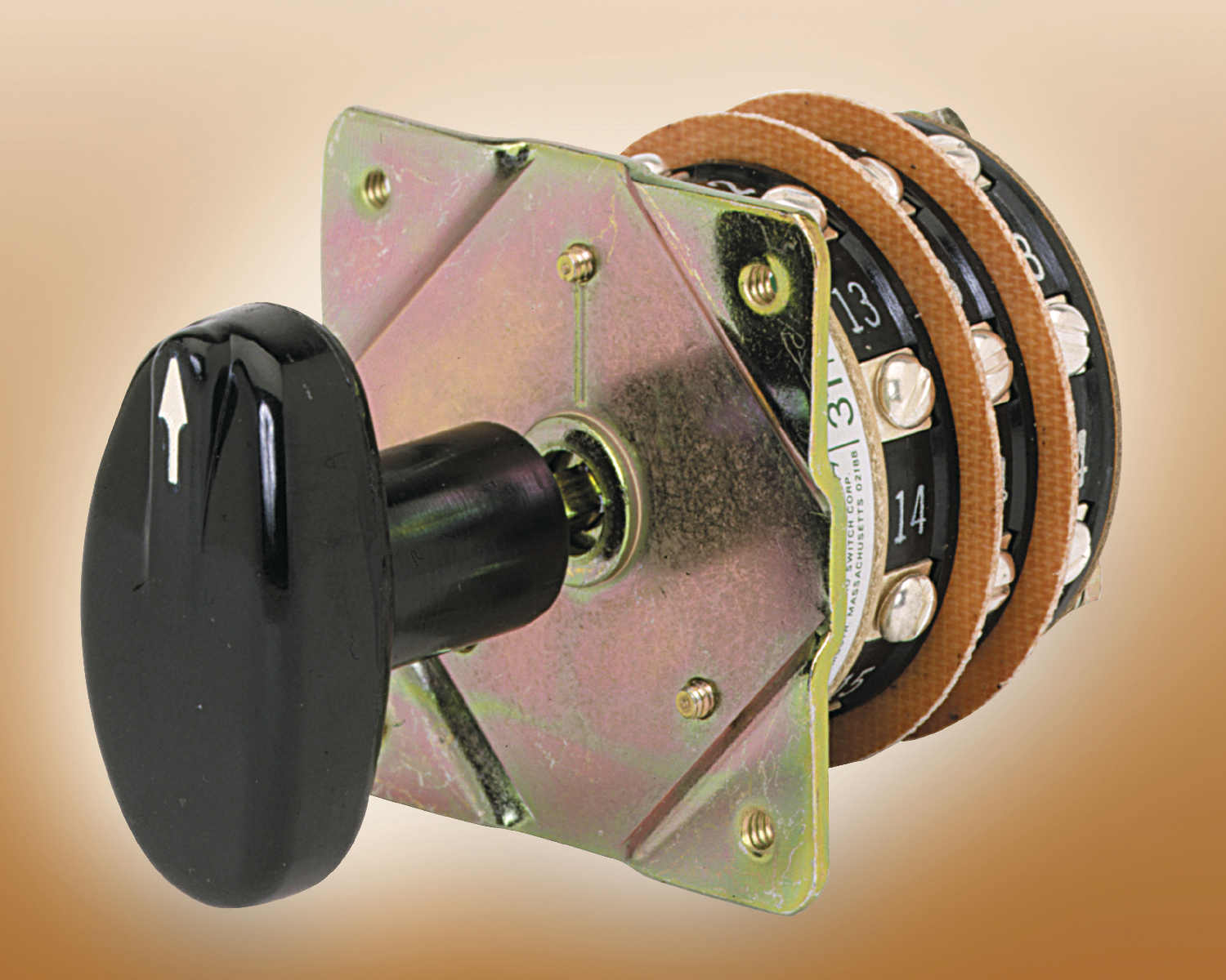 Rotaryswitches 10067343