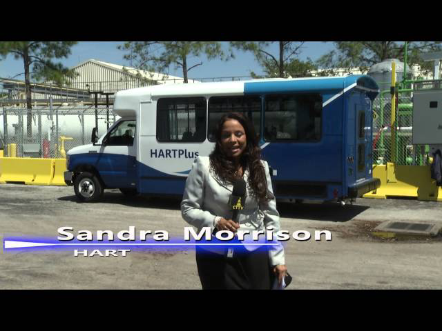 Sddefault 11392565 jpg