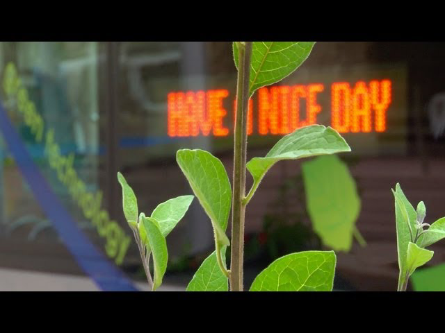 Sddefault 11519346 jpg