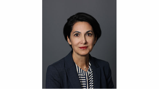 Sima Vajdani has joined Lockwood, Andrews & Newnam Inc.