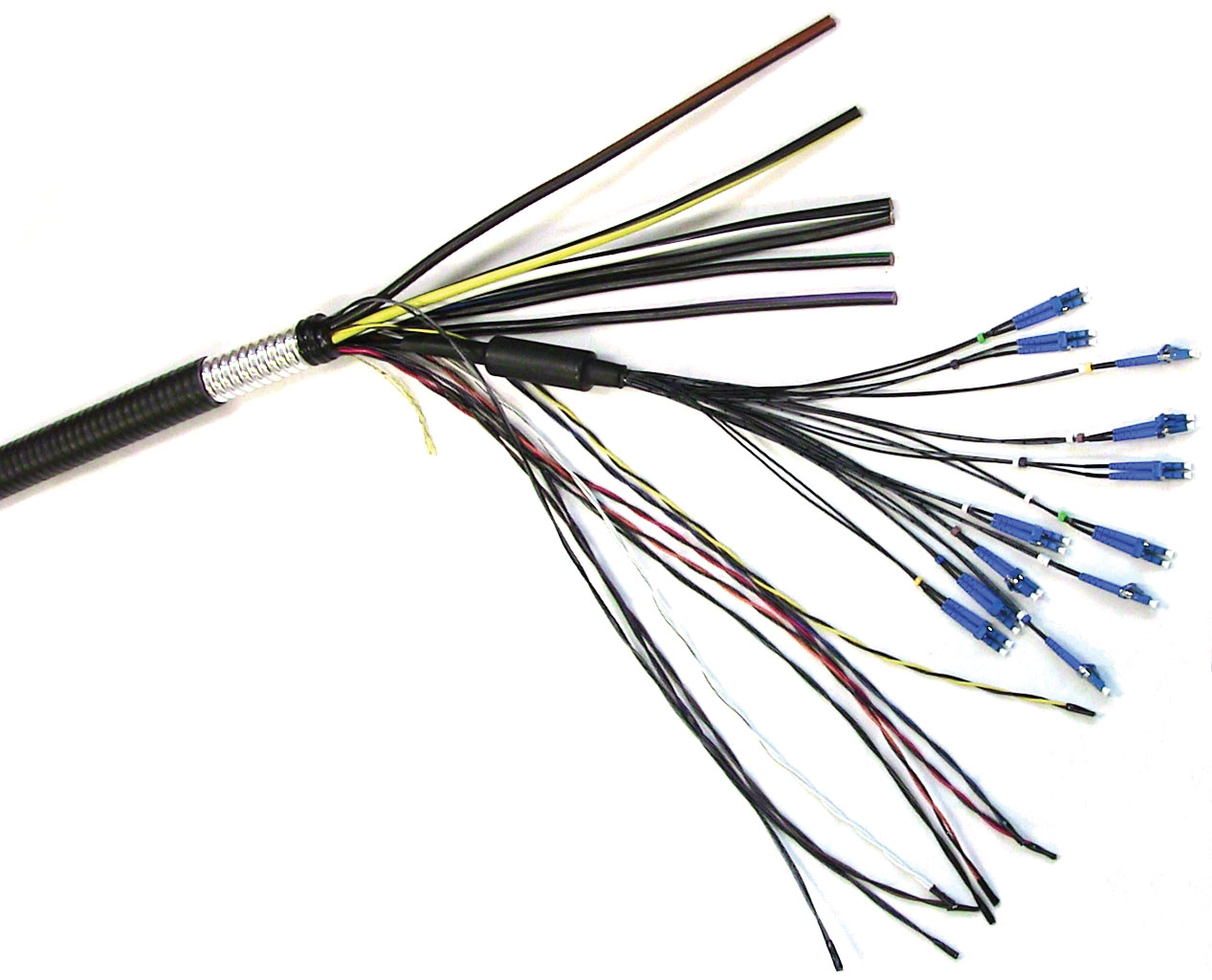 To support its continued growth, RFS further expanded its distribution network to ensure that products are seamlessly delivered to customers where and when they are needed.