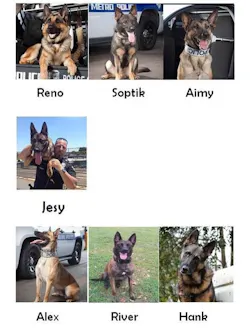 Metro's police dogs set to receive vests. Metro's police dogs set to receive vests.