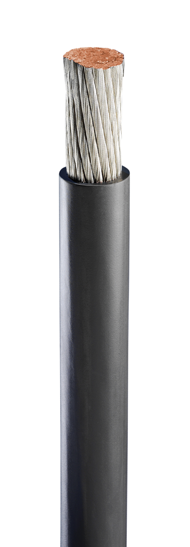 GC Polyrad XT 5824d4385d337