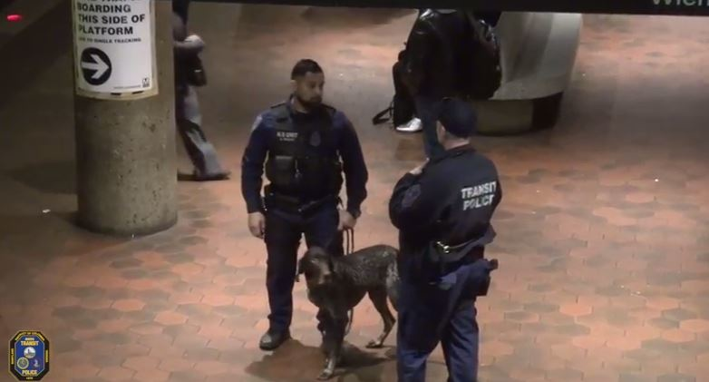 wmtadogs 586d3ca87ef61