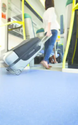 Altro Transflor Momentum. Altro Transflor Momentum.