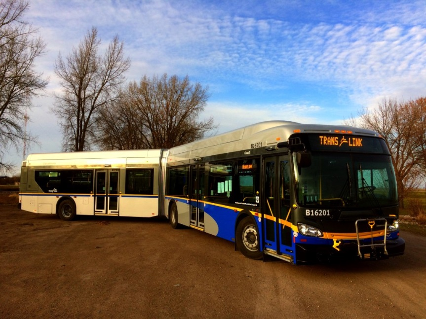 Articulated hybrid buses.