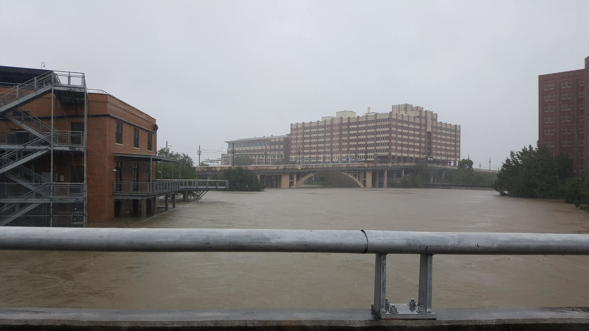 'Looking at UH-D from San Jacinto near downtown.' - Houston Metro/Facebook