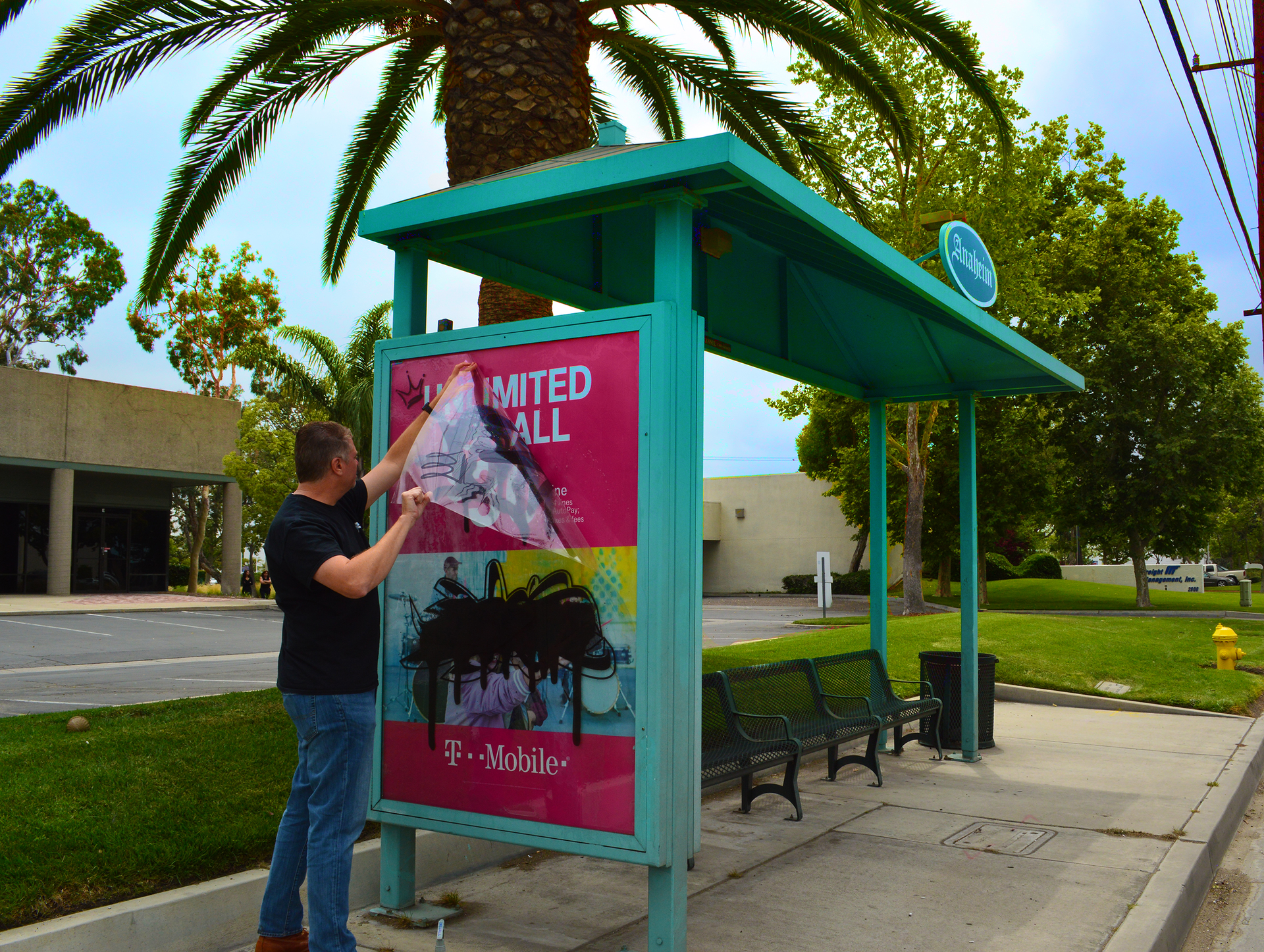 Bus Stop Graffiti Protection Ii