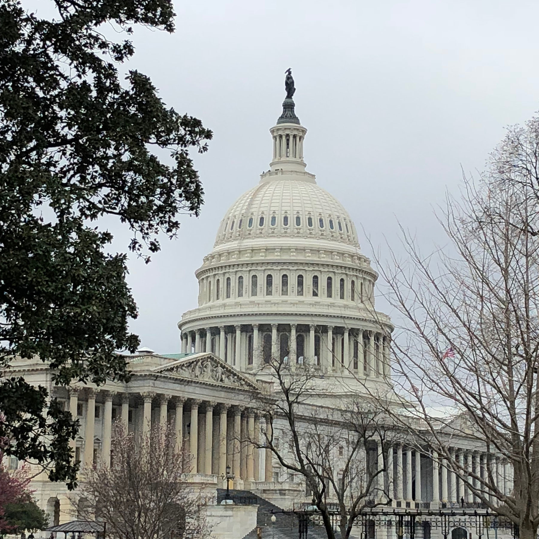 Capitoldome Mwaneklibman 5cf733dbc7d99