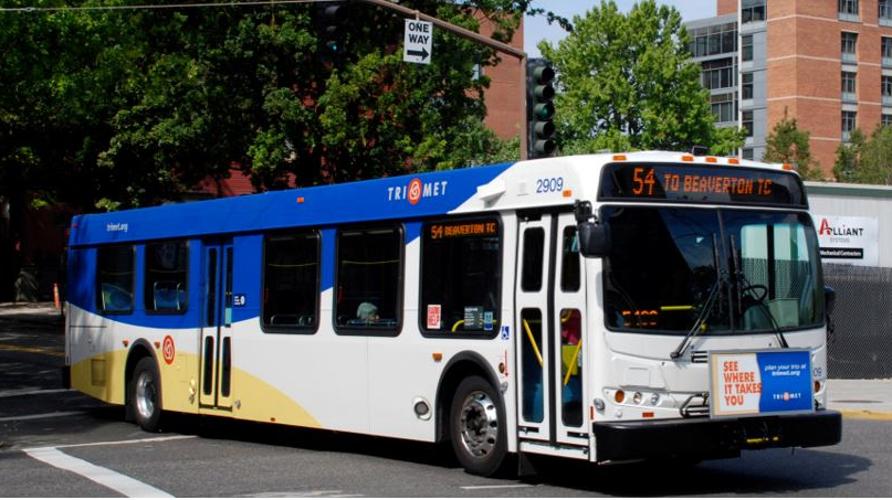 Graffitti Shield 5d728bdc0cd1c