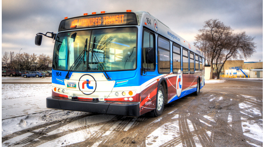 Winnipeg Transit Bus Credit Winnipeg Transit