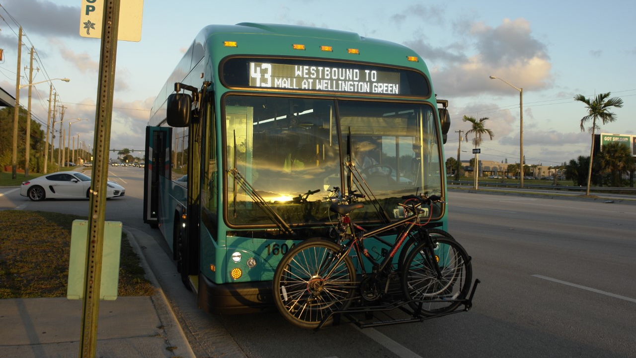 Palm Trans Safety Bikerack Credit Palm Tran