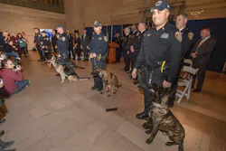 Mta 5e418d56d5fd3 Mta 5e418d56d5fd3