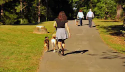 Ncdot 5e4b52374c3f0 Ncdot 5e4b52374c3f0