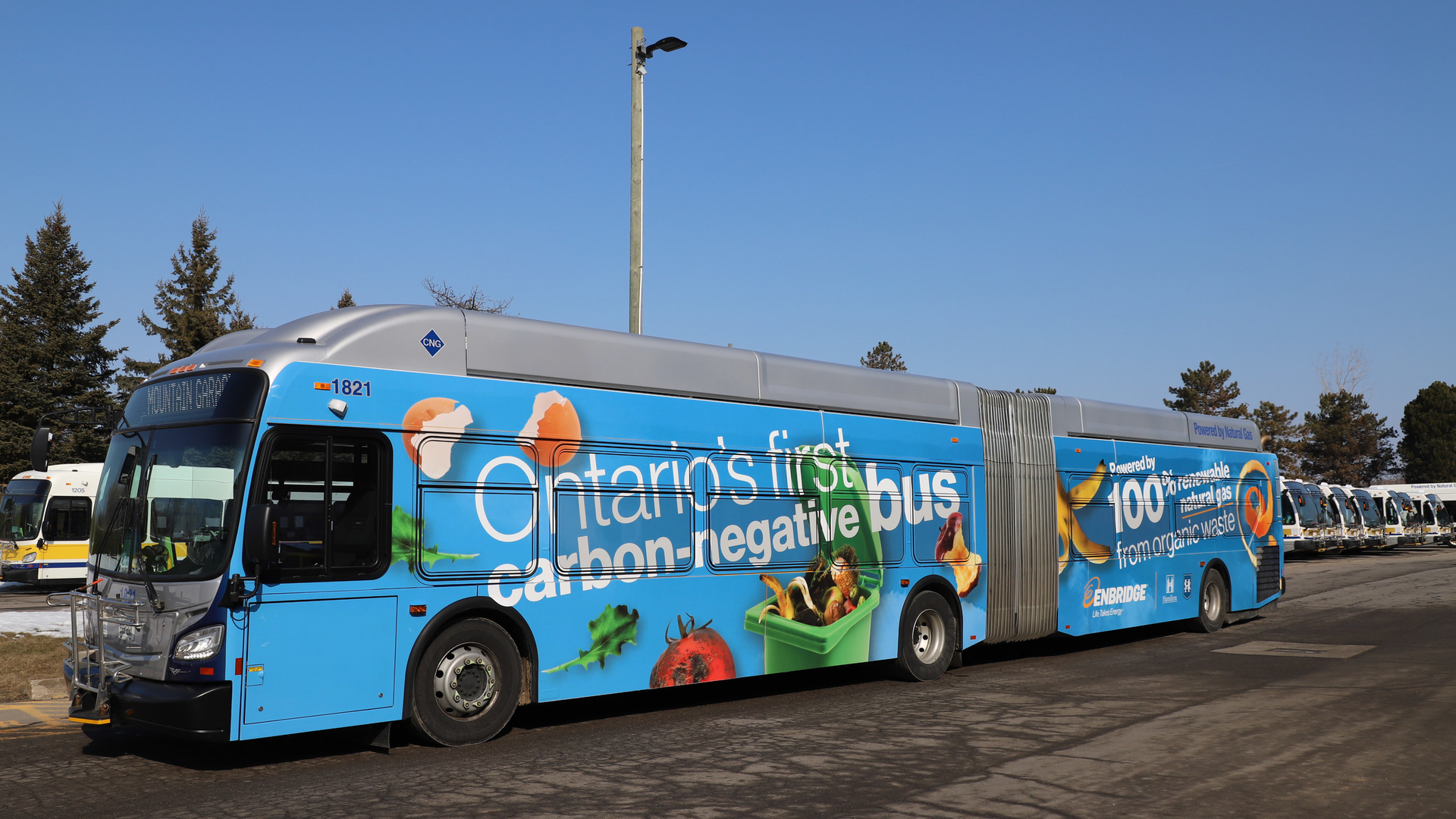 Hamilton 60464cbb7f973