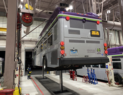 Stertil Koni 604b886022cdf