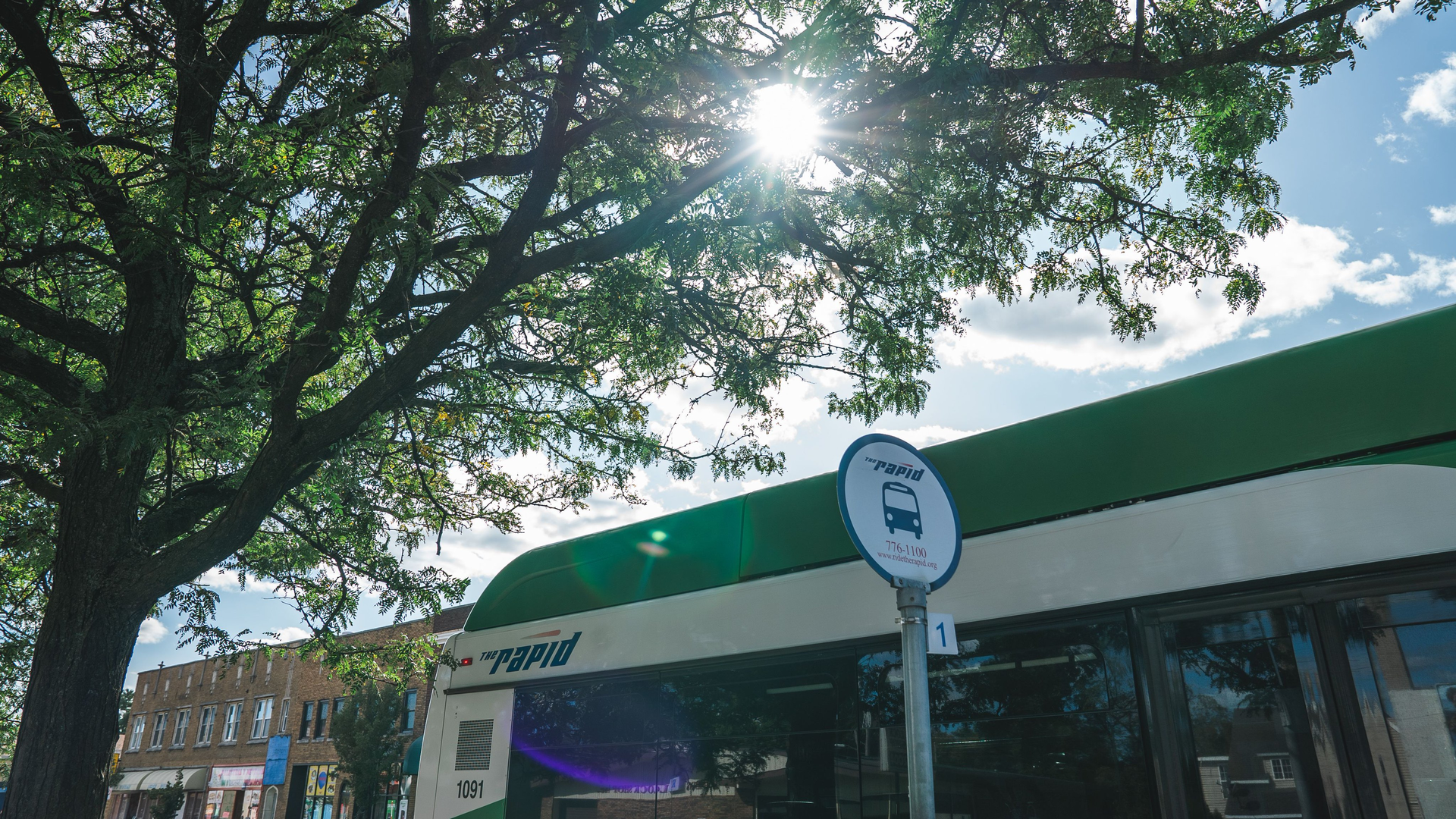 The Rapid 608ad16f5dfc9