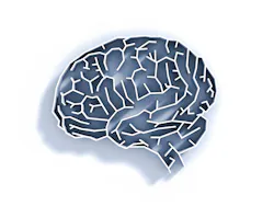 Dreamstime Xxl 40867564 60b77c6625fa8 Dreamstime Xxl 40867564 60b77c6625fa8