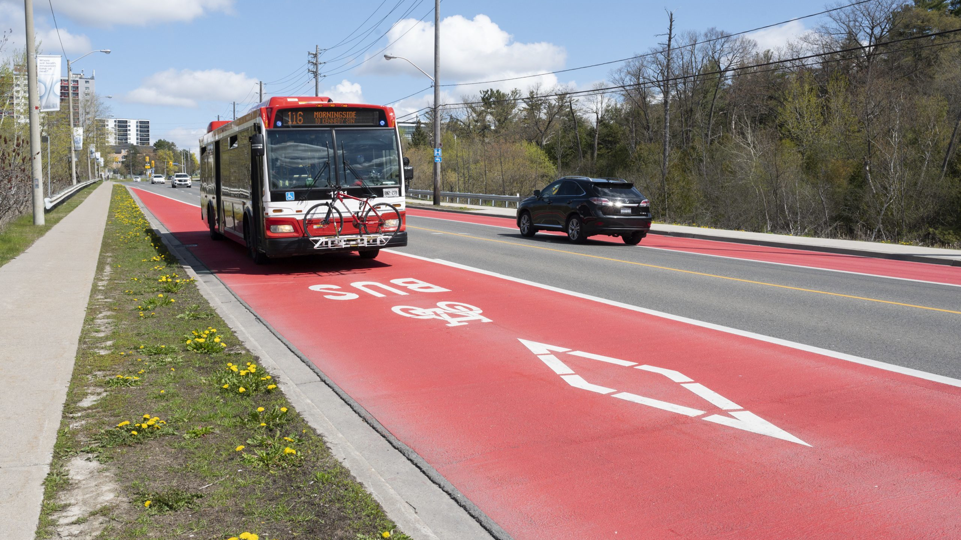 The RapidTO Eglinton East lanes include parts of Eglinton Avenue East, Kingston Road and Morningside Avenue