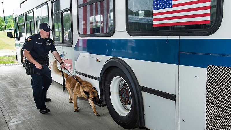 This 2016 image shows a Metropolitan Transportation Authority Police Department officer and canine at the MTAPD Canine Training Facility in Stormville, N.Y.
