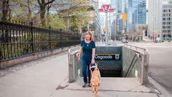 Denise Chamberlin with her guide dog Ridley emerges from the Toronto subway. Denise Chamberlin with her guide dog Ridley emerges from the Toronto subway.