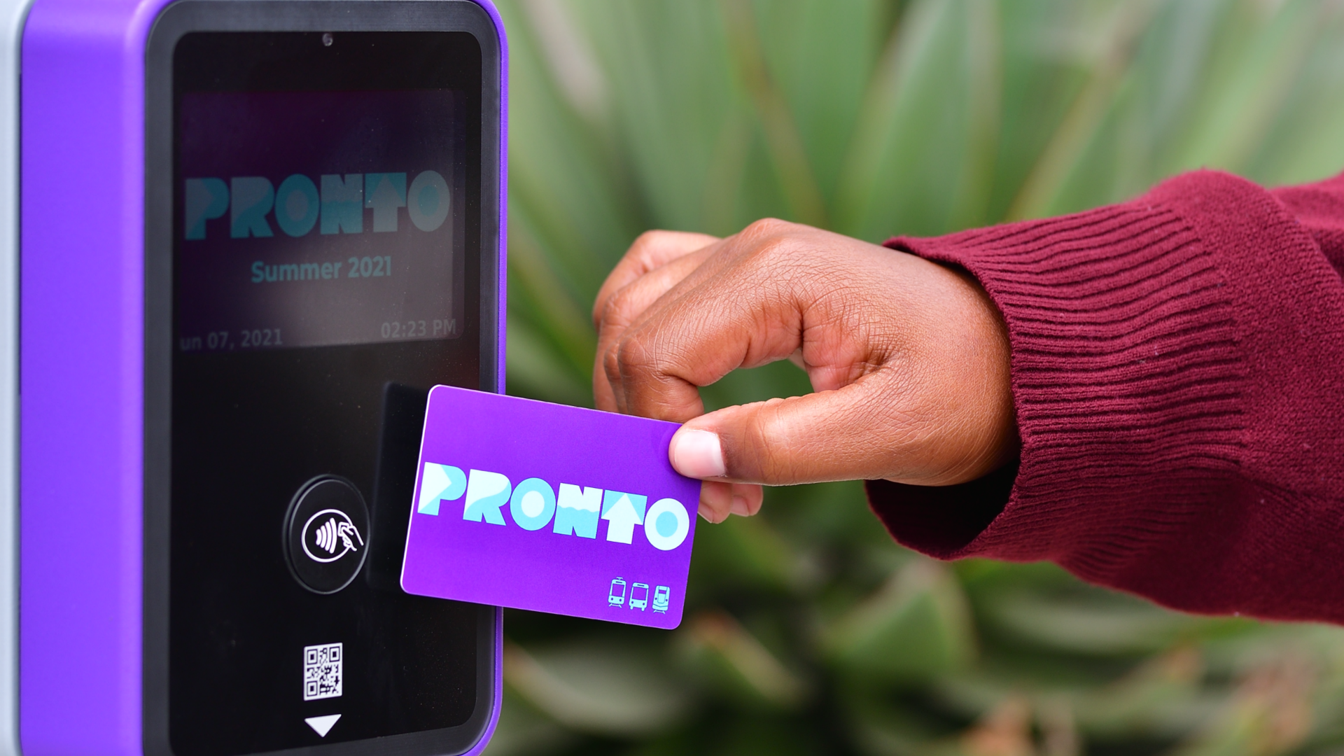 San Diego Mts 1 Dragged 61572ff165b2f