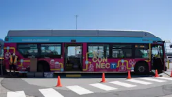 Translink 61637b8621aee Translink 61637b8621aee