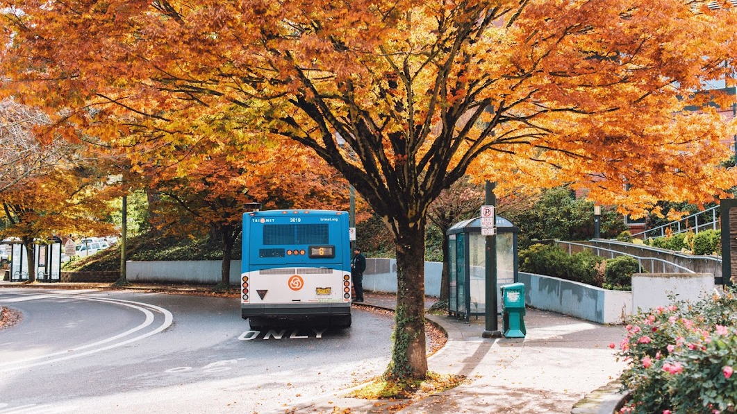 Trimet Bus