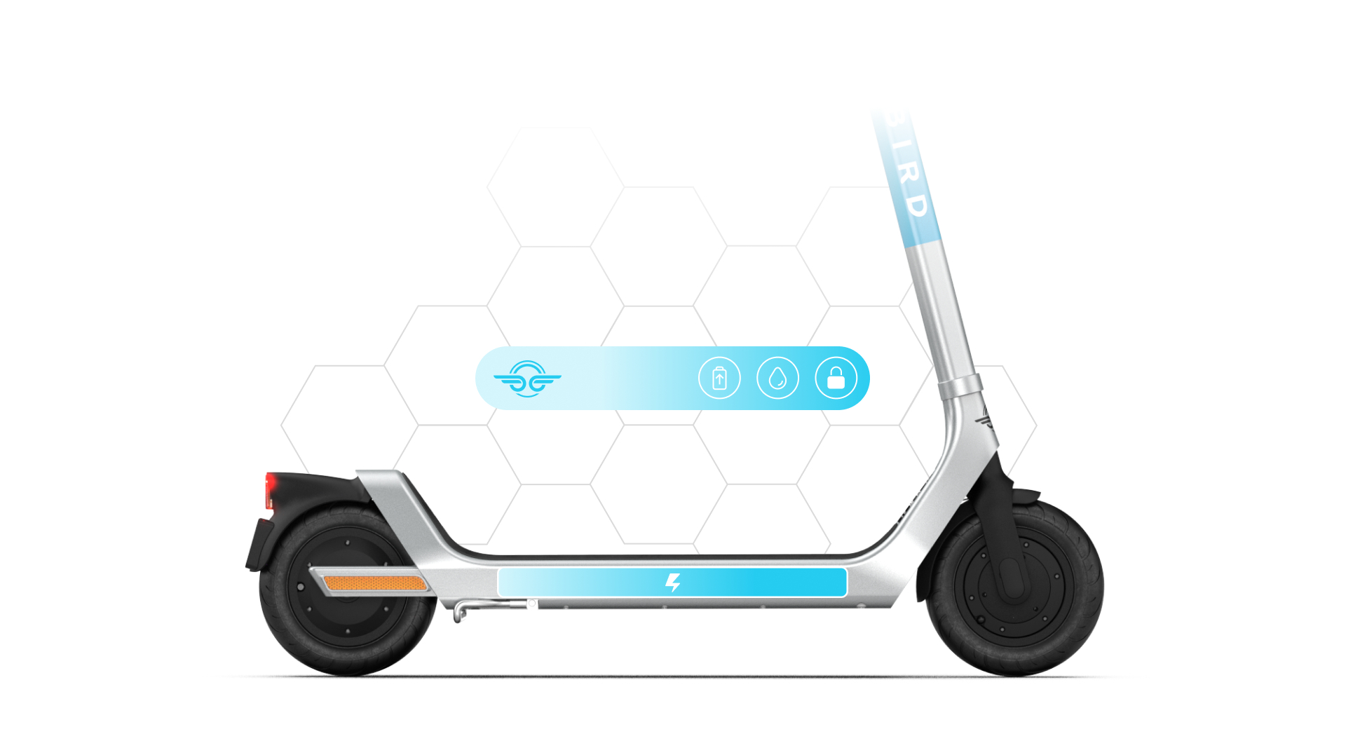 Banner V2 Bird 61eeced975888