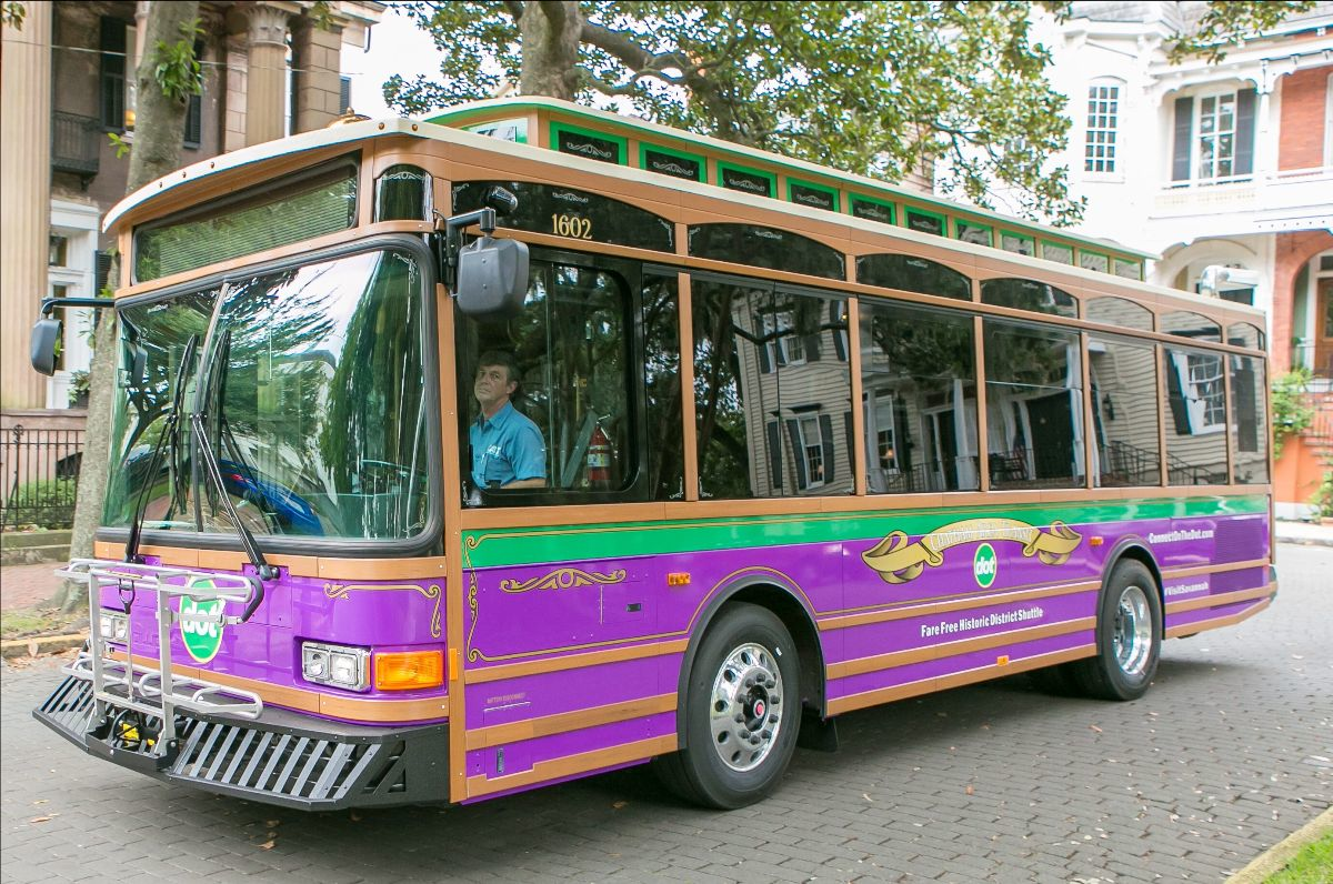 D9f6cfb1 3eeb 3c6b F56c D662300b3054 Cat