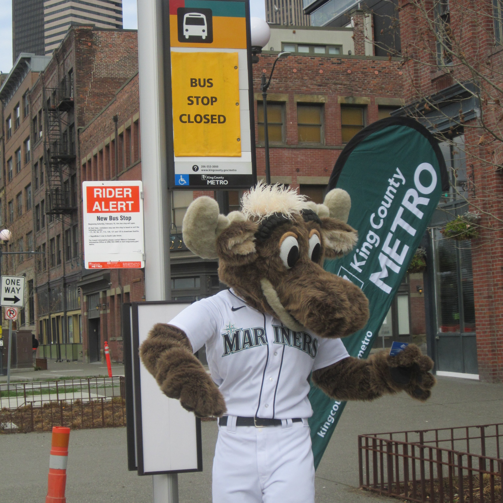 Fl60jbr Vqa Ay D King County Metro Bus Stop