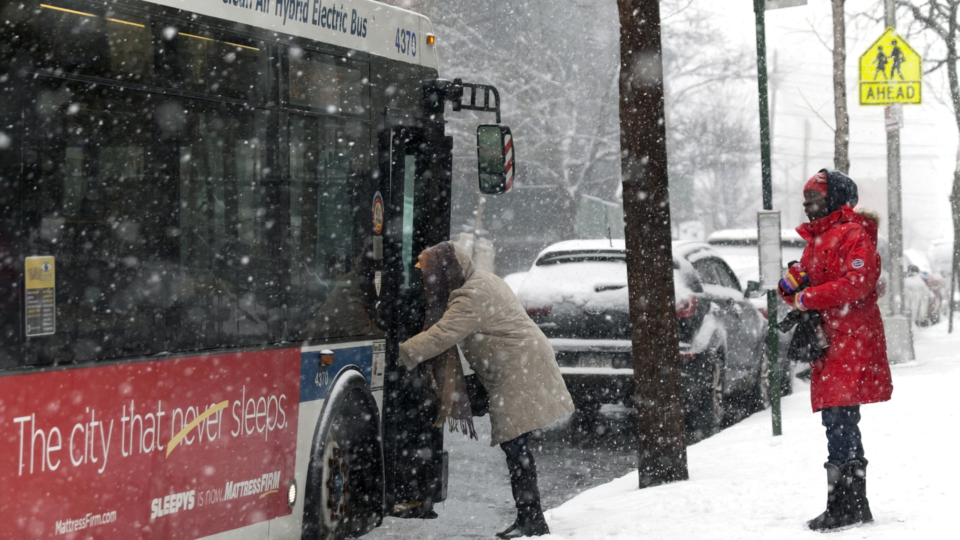 Dreamstime Xl 85735193