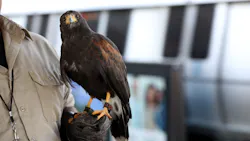 Microsoft Teams Image 18 Bart 62bf15f95a4e7 Microsoft Teams Image 18 Bart 62bf15f95a4e7