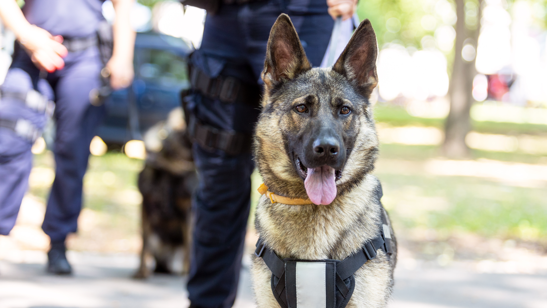 Adobe Stock 447270492 1 630788b1d7868