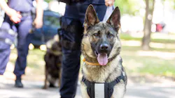 Adobe Stock 447270492 1 630788b1d7868 Adobe Stock 447270492 1 630788b1d7868