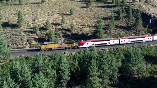 Emu In The Forest Caltrain