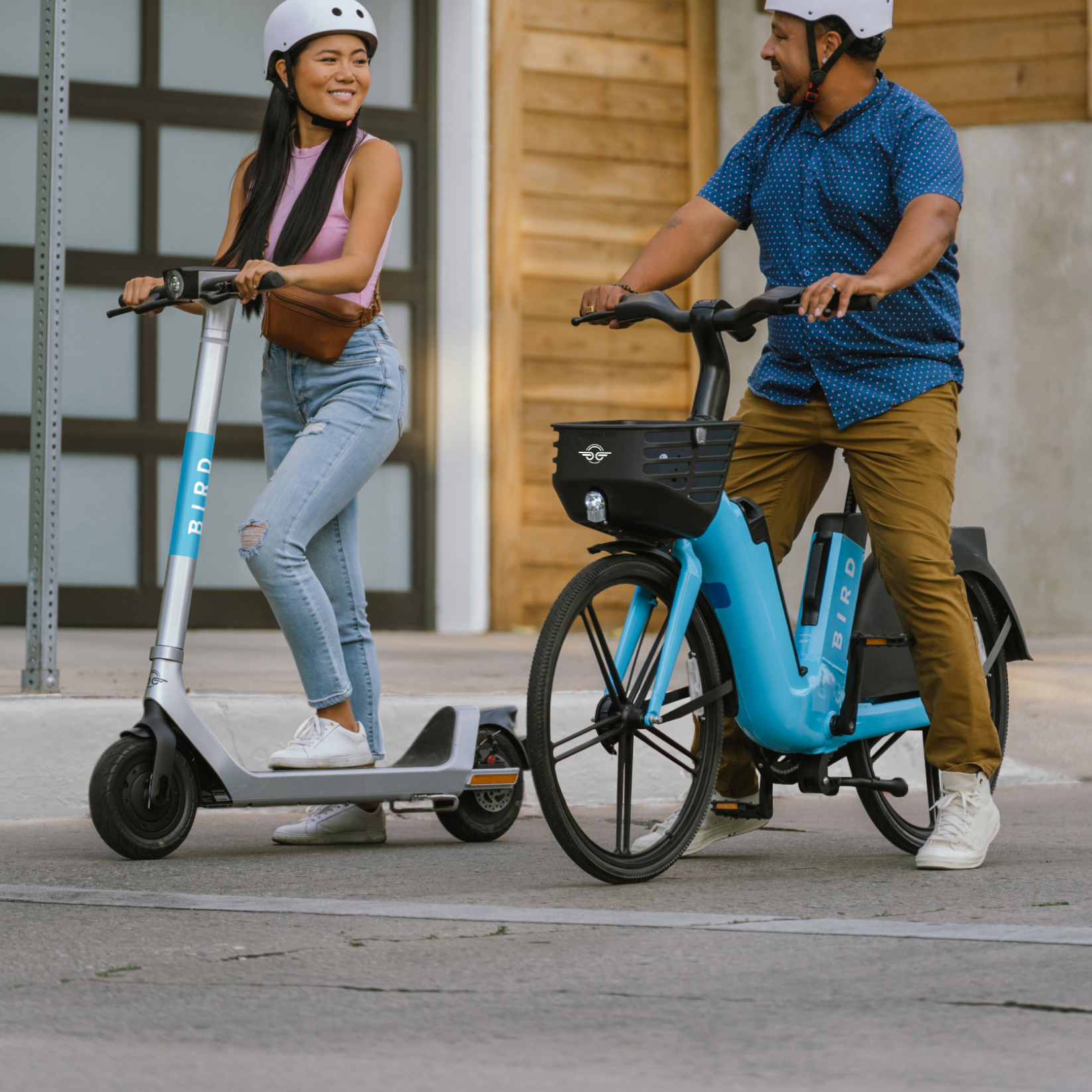 Bird Bikeshare 9 (1) Bird