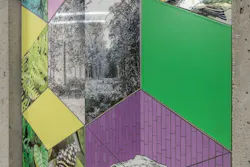 Les Boîtes vivantes by Shelley Miller. Les Boîtes vivantes by Shelley Miller.