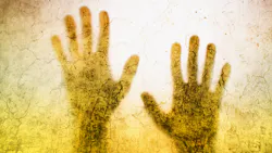 Adobe Stock 123184877 63c6b5b7a3c02 Adobe Stock 123184877 63c6b5b7a3c02