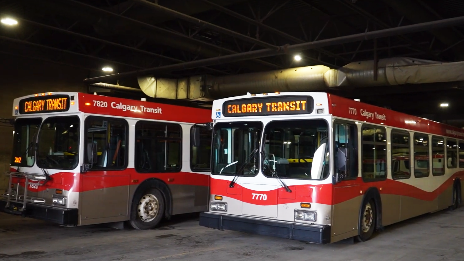 Calgary Transit buses from a video promoting the upcoming zero-emission bus pilot. The city of Calgary will receive C$165 million to purchase zero-emission vehicles for the city's transit fleet.