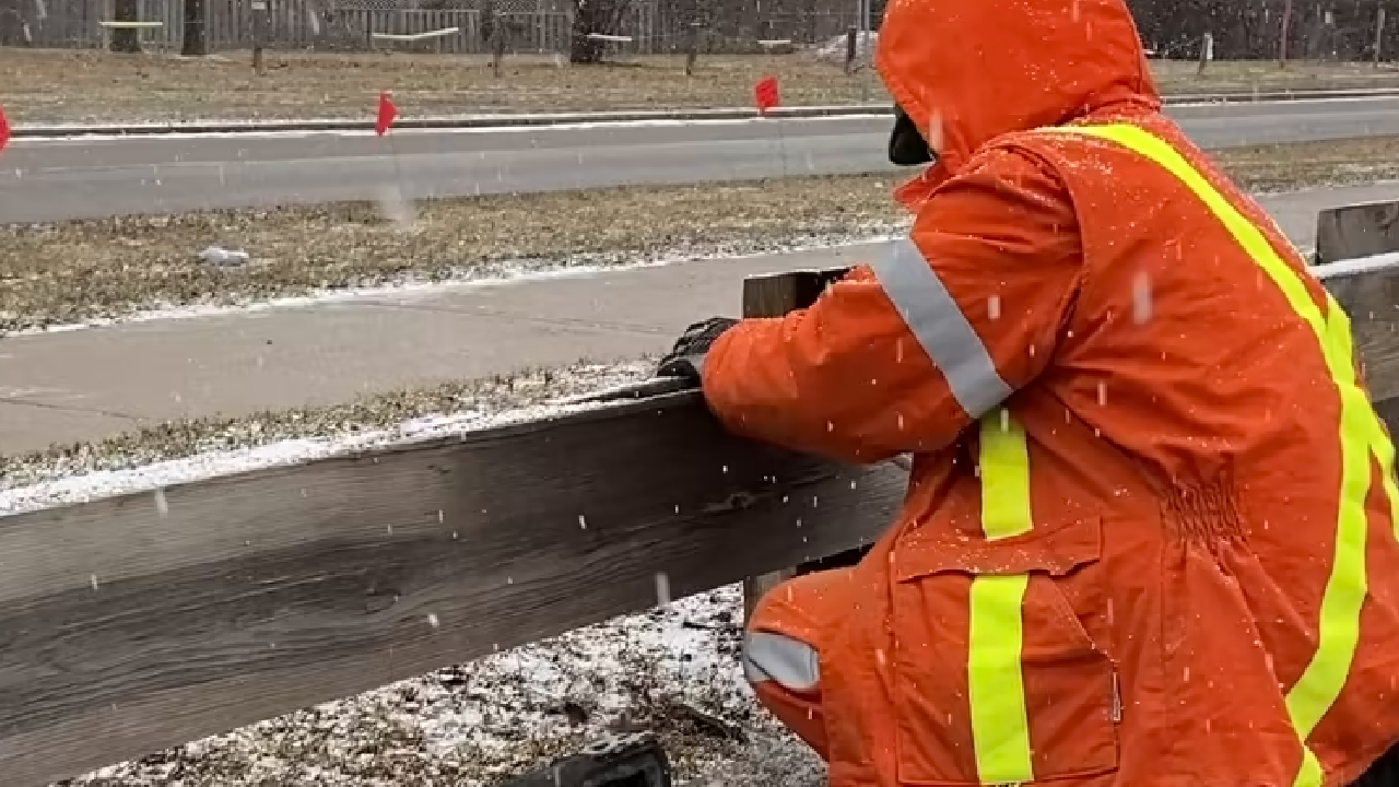 Ynse Finch Early Works 1