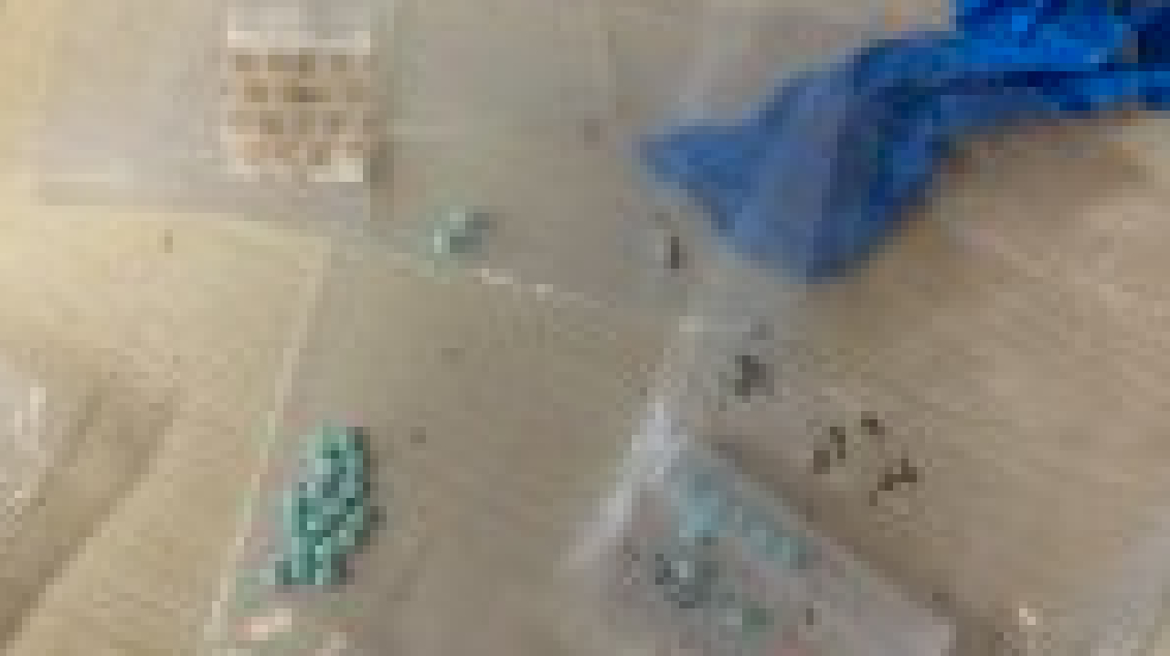 Items seized during operation