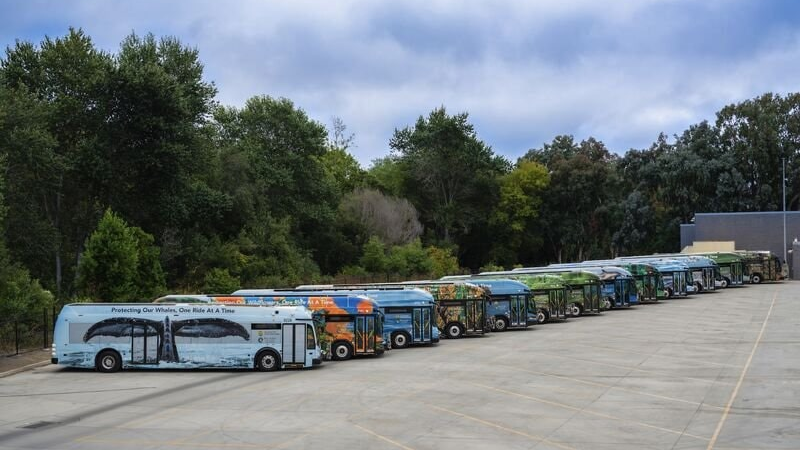 Santa_Cruz_Metro_makes_largest_acquisition_of_FCEBs_in_North_American_history