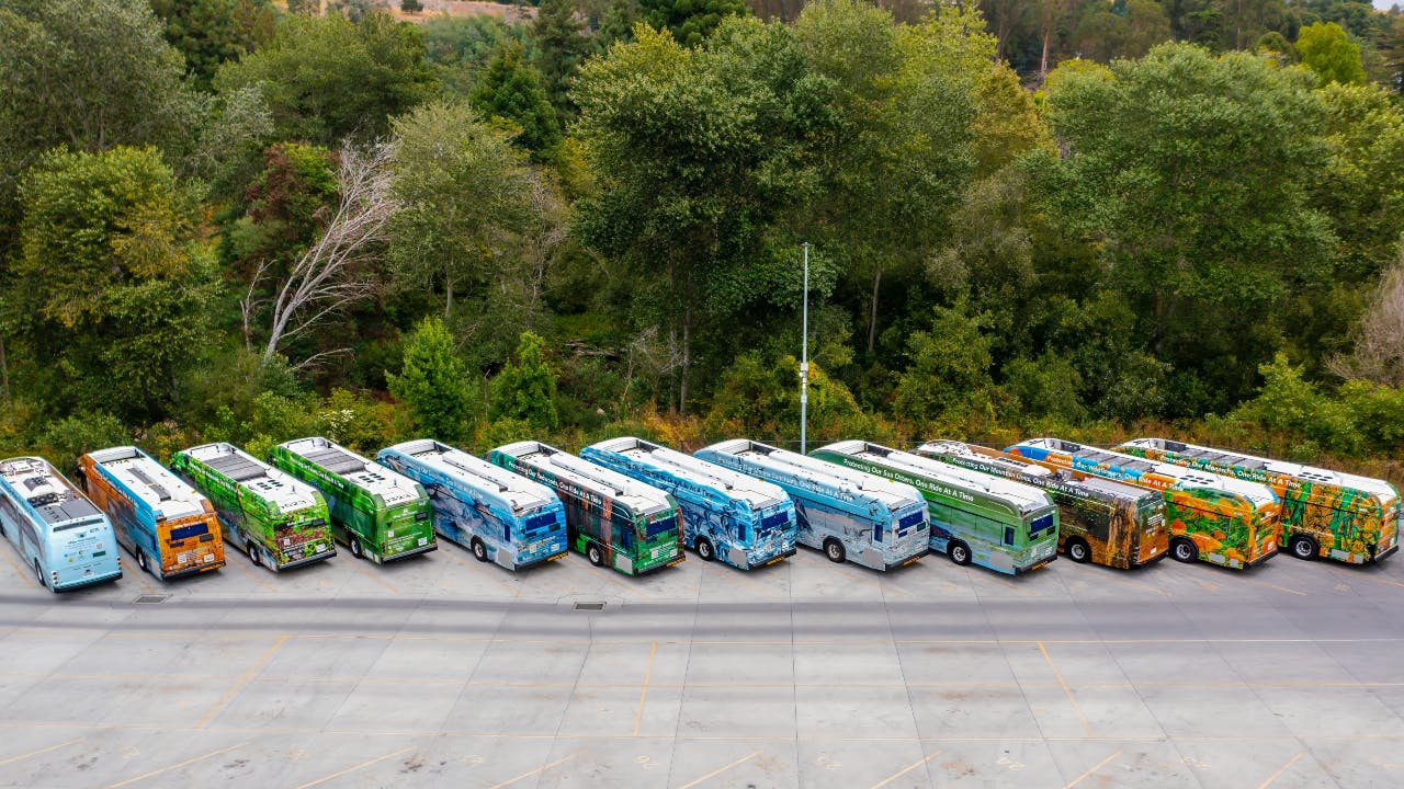 Santa Cruz Metro buses.