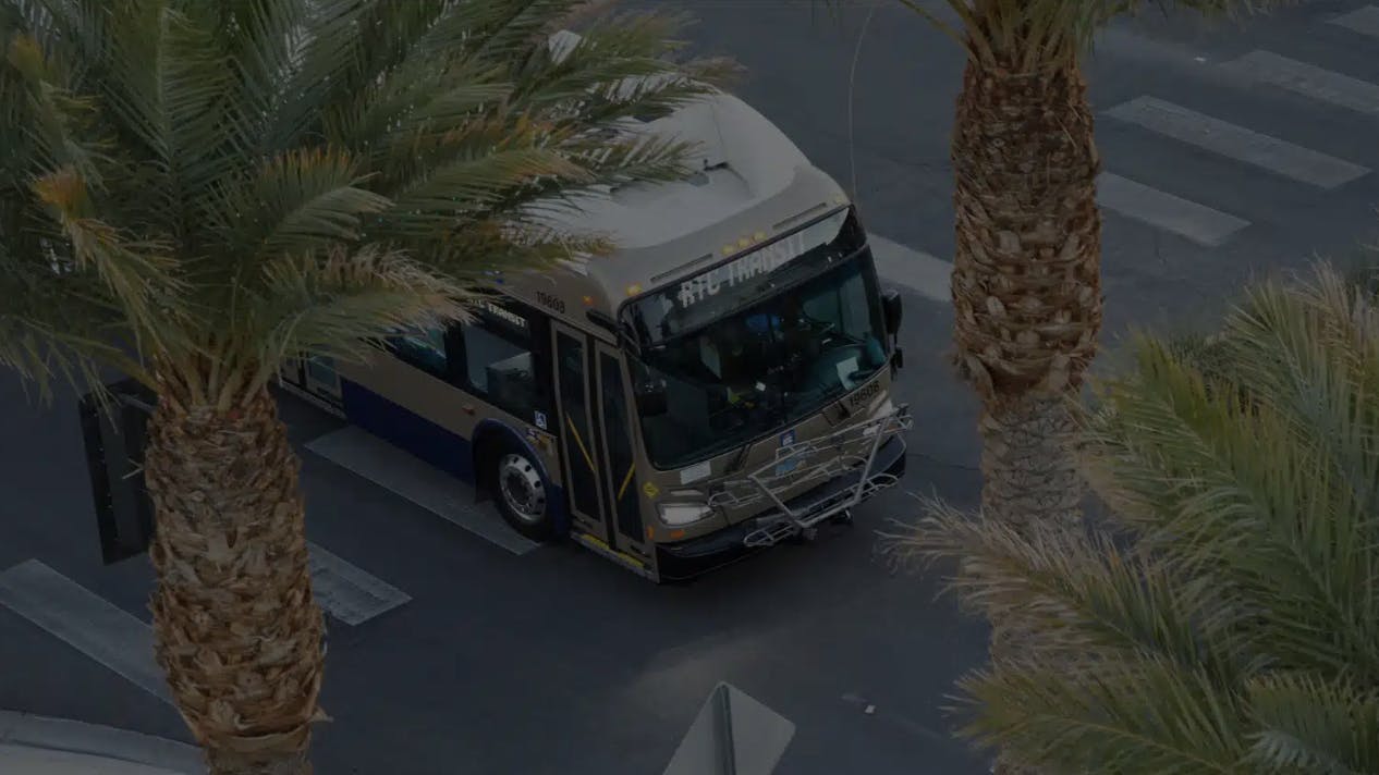 RTC bus drives down a street with palm trees on either side
