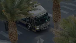 RTC bus drives down a street with palm trees on either side RTC bus drives down a street with palm trees on either side