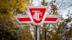 A TTC logo sits in front of blurry leaves. A TTC logo sits in front of blurry leaves.