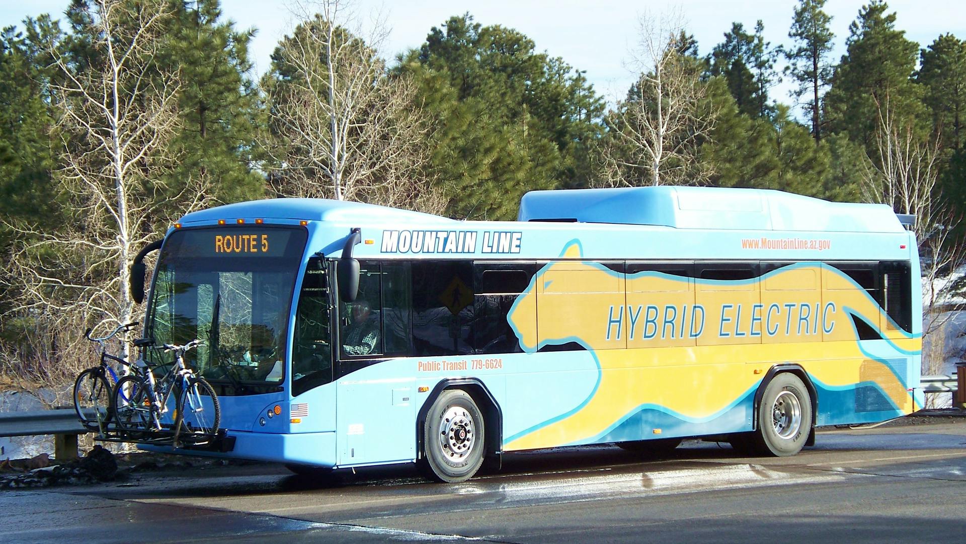 A Mountain Line bus.